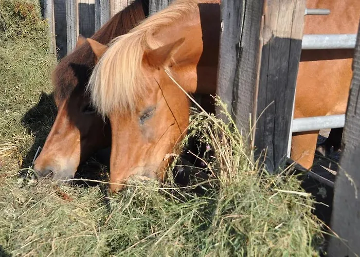 Lisa 95qm, Angenehm Ruhig アパート Haßloch